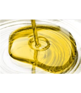 PIGMENT TRANSPARANT  DROP IN 10GR GEEL