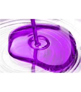 PIGMENT TRANSPARANT  DROP IN 10GR PAARS