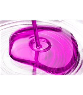 PIGMENT TRANSPARANT  DROP IN 10GR VIOLET